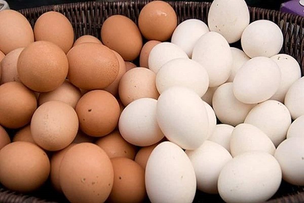 eggs