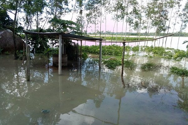 bdnews24 bangla newspaper, bangladesh news 24, bangla newspaper prothom alo, bd news live, indian bangla newspaper, bd news live today, bbc bangla news, bangla breaking news 24