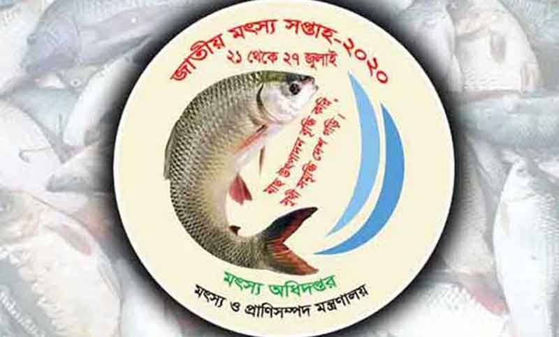 bdnews24 bangla newspaper, bangladesh news 24, bangla newspaper prothom alo, bd news live, indian bangla newspaper, bd news live today, bbc bangla news, bangla breaking news 24