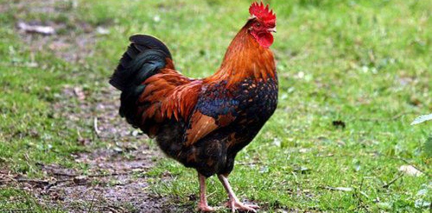 paperslife