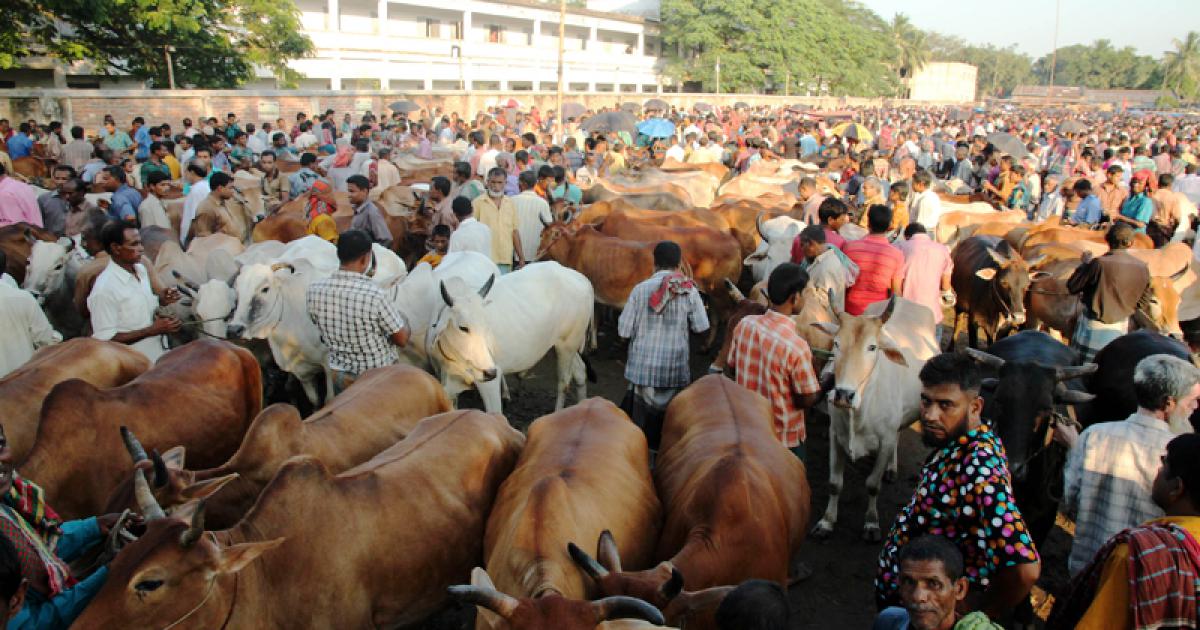 bdnews24 bangla newspaper, bangladesh news 24, bangla newspaper prothom alo, bd news live, indian bangla newspaper, bd news live today, bbc bangla news, bangla breaking news 24, prosenjit bangla movie, jeeter bangla movie, songsar bangla movie, bengali full movie, bengali movies 2019, messi vs ronaldo, lionel messi stats, messi goals, messi net worth, messi height