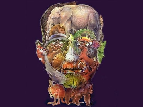 man and animal
