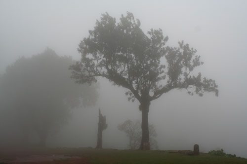 এই শীতে রাজশাহীতে সর্বনিম্ন তাপমাত্রা রেকর্ড