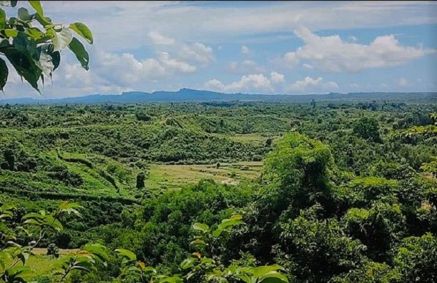 নাইক্ষ্যংছড়ি সীমান্তে ফের গোলাগুলি