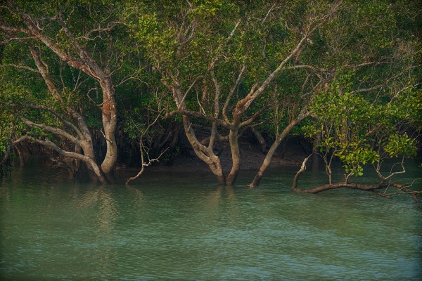 জলবায়ু ক্ষতি কাটাতে ২৩ হাজার কোটি ডলার ব্যয়ের পরিকল্পনা সরকারের