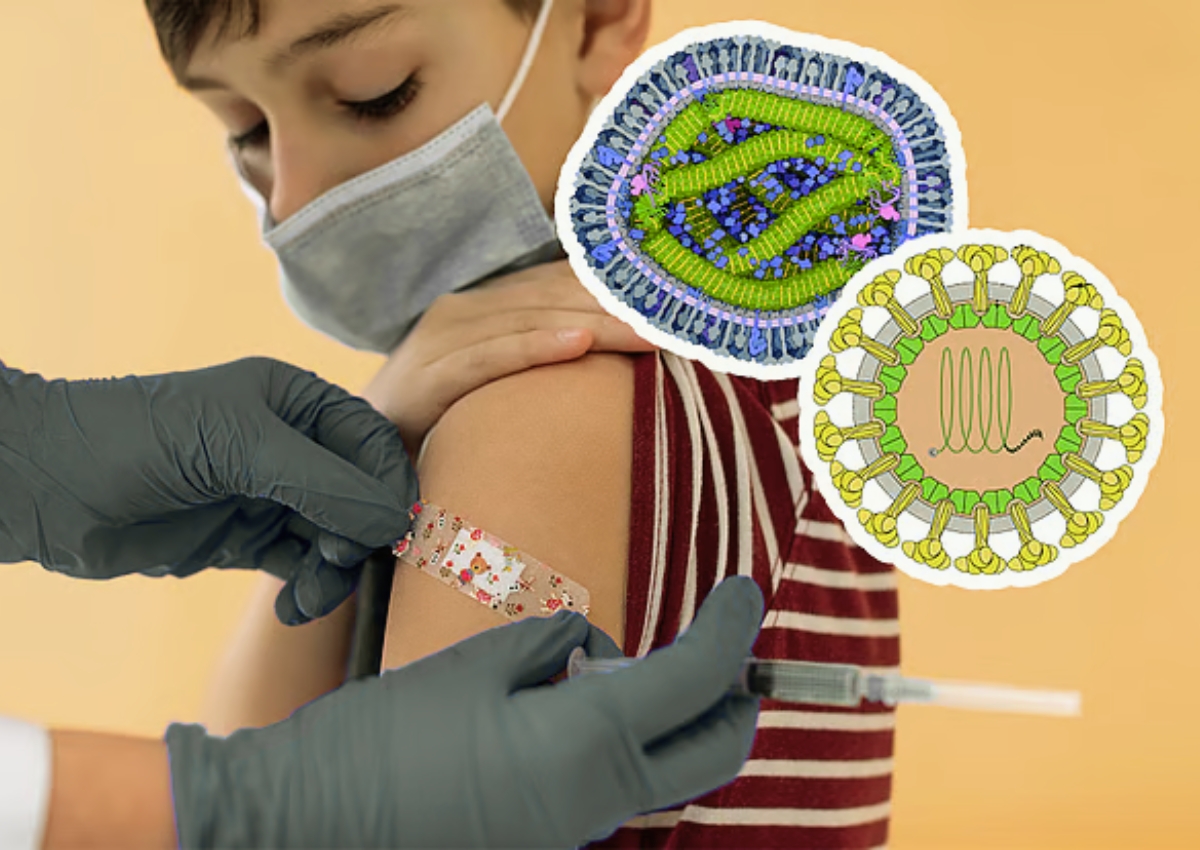 হাম না কি রুবেলা? পার্থক্য চিনে নিন আজই