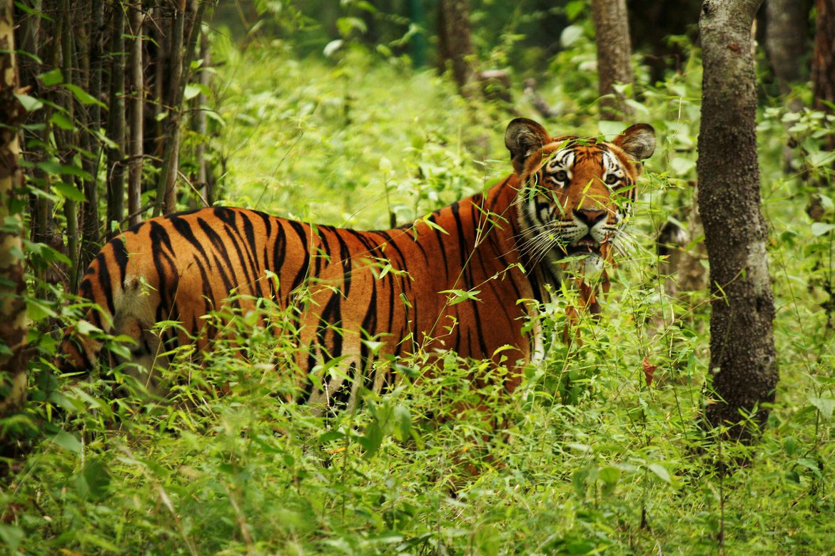 bdnews24 bangla newspaper, bangladesh news 24, bangla newspaper prothom alo, bd news live, indian bangla newspaper, bd news live today, bbc bangla news, bangla breaking news 24, prosenjit bangla movie, jeeter bangla movie, songsar bangla movie, bengali full movie, bengali movies 2019, messi vs ronaldo, lionel messi stats, messi goals, messi net worth, messi height