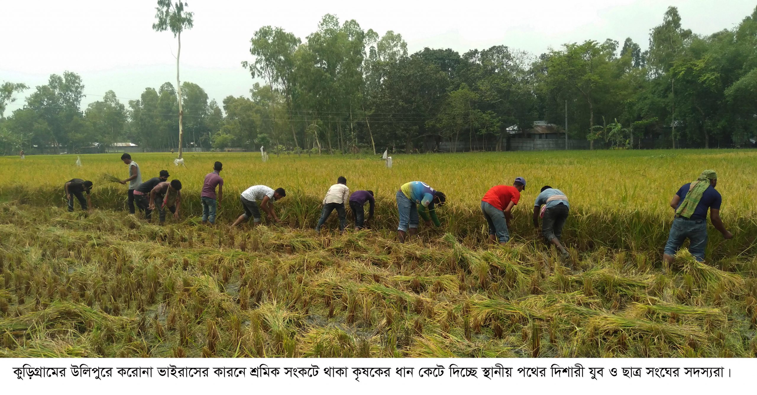 bdnews24 bangla newspaper, bangladesh news 24, bangla newspaper prothom alo, bd news live, indian bangla newspaper, bd news live today, bbc bangla news, bangla breaking news 24, prosenjit bangla movie, jeeter bangla movie, songsar bangla movie, bengali full movie, bengali movies 2019, messi vs ronaldo, lionel messi stats, messi goals, messi net worth, messi height