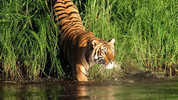 bdnews24 bangla newspaper, bangladesh news 24, bangla newspaper prothom alo, bd news live, indian bangla newspaper, bd news live today, bbc bangla news, bangla breaking news 24, prosenjit bangla movie, jeeter bangla movie, songsar bangla movie, bengali full movie, bengali movies 2019, messi vs ronaldo, lionel messi stats, messi goals, messi net worth, messi height