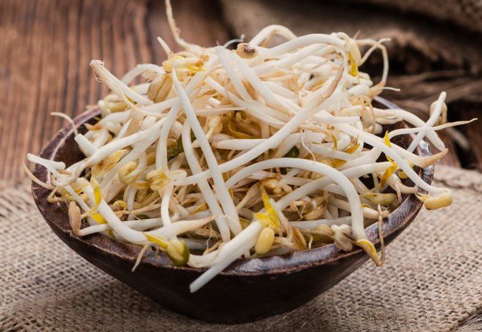 bean sprout @paperslife