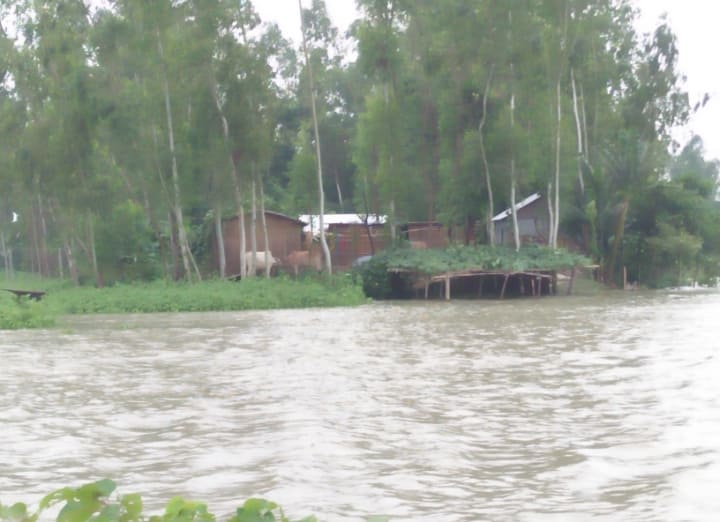 bdnews24 bangla newspaper, bangladesh news 24, bangla newspaper prothom alo, bd news live, indian bangla newspaper, bd news live today, bbc bangla news, bangla breaking news 24