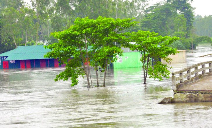 bdnews24 bangla newspaper, bangladesh news 24, bangla newspaper prothom alo, bd news live, indian bangla newspaper, bd news live today, bbc bangla news, bangla breaking news 24