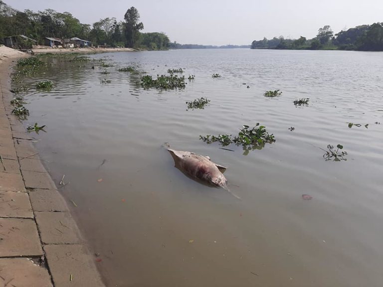 bdnews24 bangla newspaper, bangladesh news 24, bangla newspaper prothom alo, bd news live, indian bangla newspaper, bd news live today, bbc bangla news, bangla breaking news 24, prosenjit bangla movie, jeeter bangla movie, songsar bangla movie, bengali full movie, bengali movies 2019, messi vs ronaldo, lionel messi stats, messi goals, messi net worth, messi height