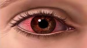 eye#paperslife