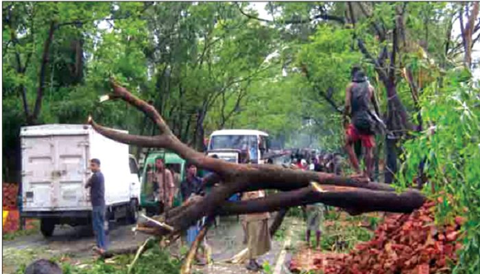 bdnews24 bangla newspaper, bangladesh news 24, bangla newspaper prothom alo, bd news live, indian bangla newspaper, bd news live today, bbc bangla news, bangla breaking news 24, prosenjit bangla movie, jeeter bangla movie, songsar bangla movie, bengali full movie, bengali movies 2019, messi vs ronaldo, lionel messi stats, messi goals, messi net worth, messi height