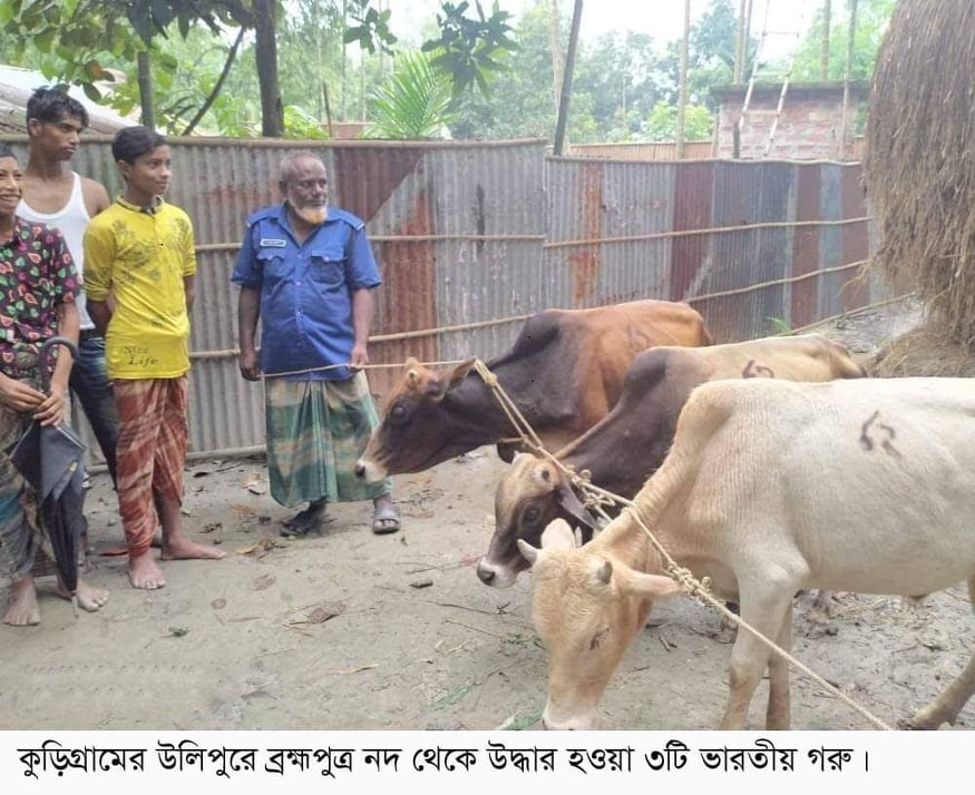 bdnews24 bangla newspaper, bangladesh news 24, bangla newspaper prothom alo, bd news live, indian bangla newspaper, bd news live today, bbc bangla news, bangla breaking news 24