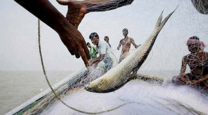দুই মাস ইলিশ ধরতে পারবে না জেলেরা