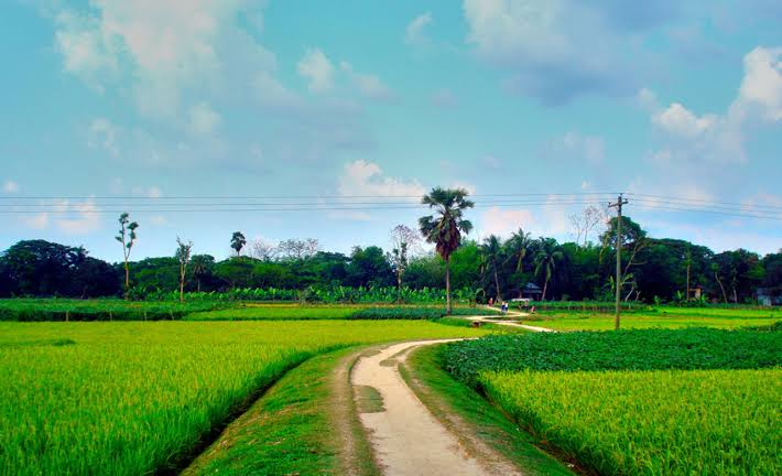 পরিবেশ সুরক্ষায় ৮ বছরে ৪০ ধাপ পিছিয়েছে বাংলাদেশ