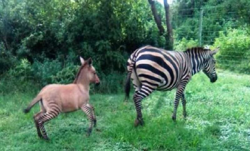 bdnews24 bangla newspaper, bangladesh news 24, bangla newspaper prothom alo, bd news live, indian bangla newspaper, bd news live today, bbc bangla news, bangla breaking news 24, prosenjit bangla movie, jeeter bangla movie, songsar bangla movie, bengali full movie, bengali movies 2019, messi vs ronaldo, lionel messi stats, messi goals, messi net worth, messi height