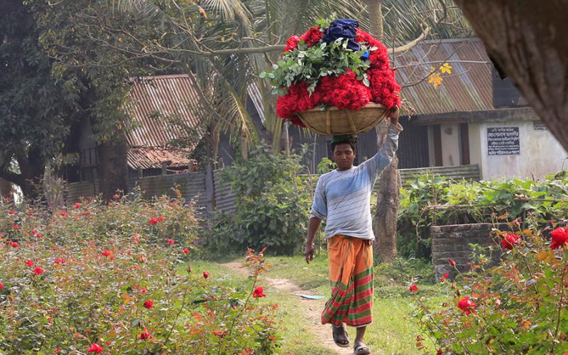 bdnews24 bangla newspaper, bangladesh news 24, bangla newspaper prothom alo, bd news live, indian bangla newspaper, bd news live today, bbc bangla news, bangla breaking news 24, prosenjit bangla movie, jeeter bangla movie, songsar bangla movie, bengali full movie, bengali movies 2019, messi vs ronaldo, lionel messi stats, messi goals, messi net worth, messi height