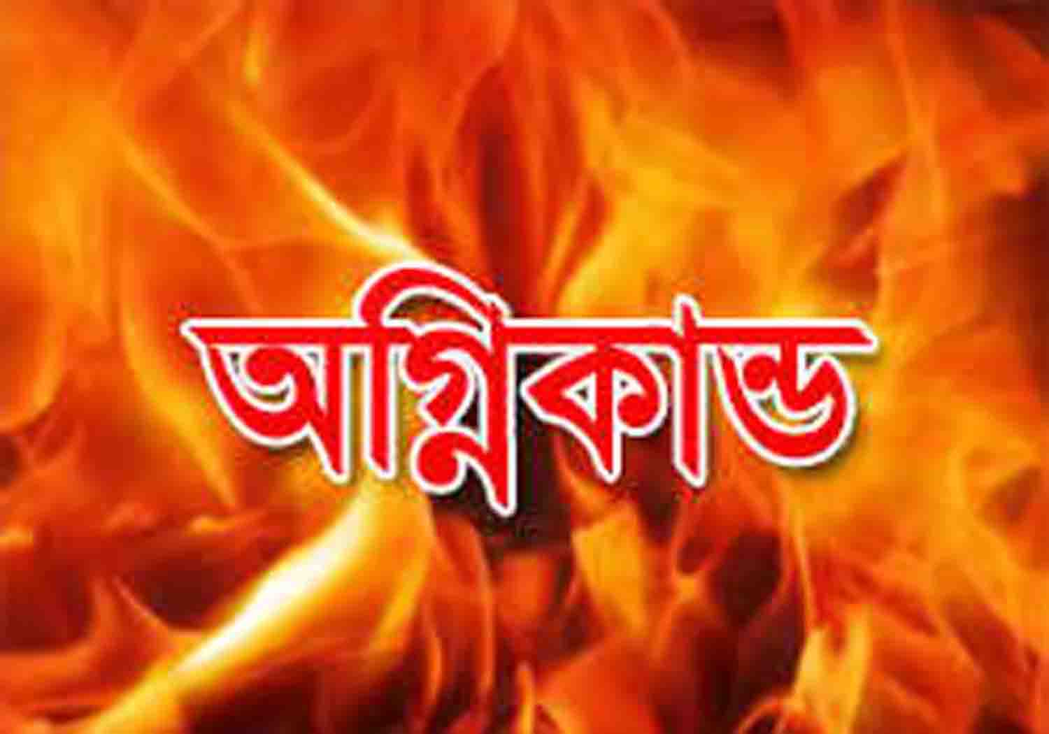 bdnews24 bangla newspaper, bangladesh news 24, bangla newspaper prothom alo, bd news live, indian bangla newspaper, bd news live today, bbc bangla news, bangla breaking news 24, prosenjit bangla movie, jeeter bangla movie, songsar bangla movie, bengali full movie, bengali movies 2019, messi vs ronaldo, lionel messi stats, messi goals, messi net worth, messi height