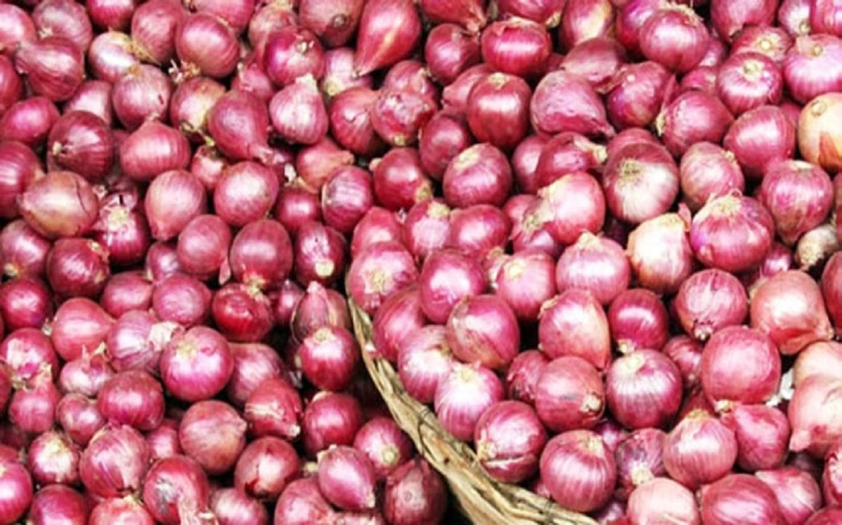 পেঁয়াজ রফতানিতে নিষেধাজ্ঞা তুললো ভারত