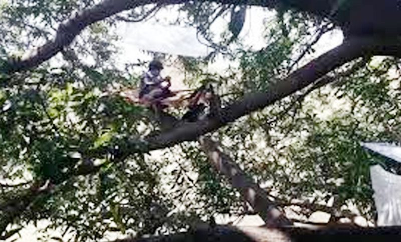 bdnews24 bangla newspaper, bangladesh news 24, bangla newspaper prothom alo, bd news live, indian bangla newspaper, bd news live today, bbc bangla news, bangla breaking news 24, prosenjit bangla movie, jeeter bangla movie, songsar bangla movie, bengali full movie, bengali movies 2019, messi vs ronaldo, lionel messi stats, messi goals, messi net worth, messi height