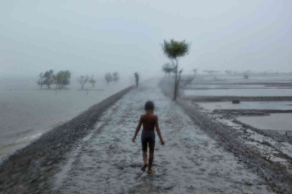 rain