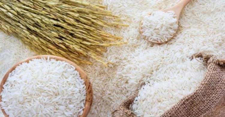 rice#paperslife