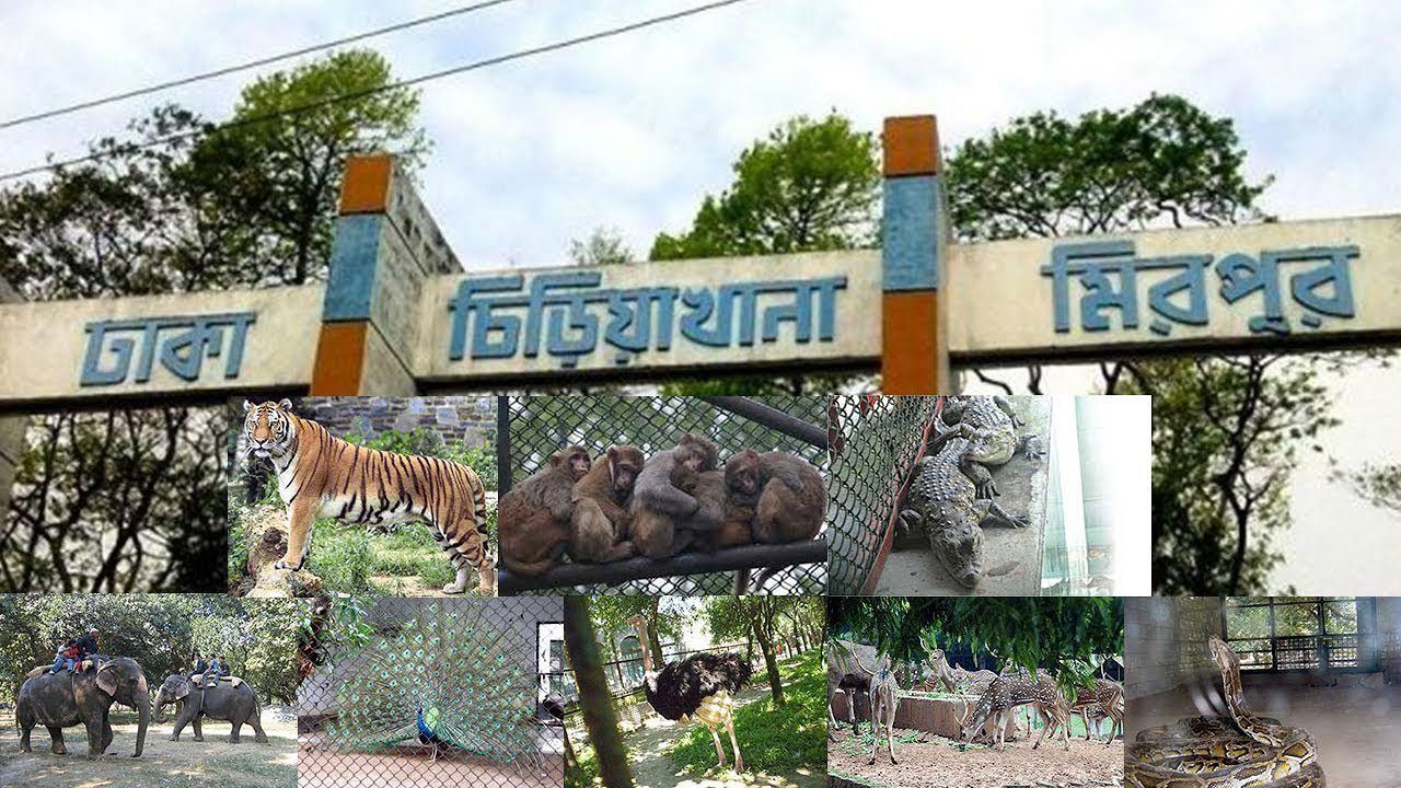bdnews24 bangla newspaper, bangladesh news 24, bangla newspaper prothom alo, bd news live, indian bangla newspaper, bd news live today, bbc bangla news, bangla breaking news 24, prosenjit bangla movie, jeeter bangla movie, songsar bangla movie, bengali full movie, bengali movies 2019, messi vs ronaldo, lionel messi stats, messi goals, messi net worth, messi height